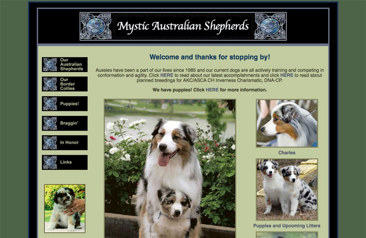 Mystic Australian Shepherds